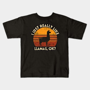 I Just Really Like Llamas OK? Kids T-Shirt